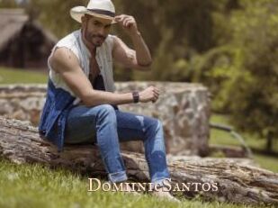 DomiinicSantos Pink Center Fold