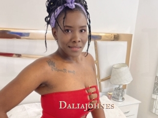 daliajohnes Pink Center Fold