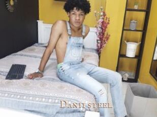 Danii_steel