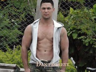 Dantegreyy