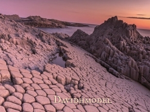 davidhmodel Pink Center Fold