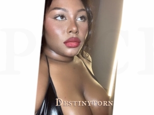 Destinytorn