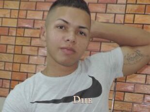 diie Pink Center Fold
