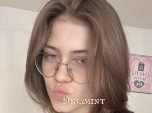 Dinamint