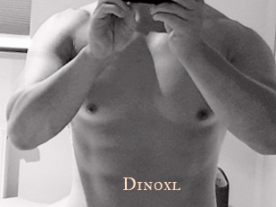 dinoxl Pink Center Fold
