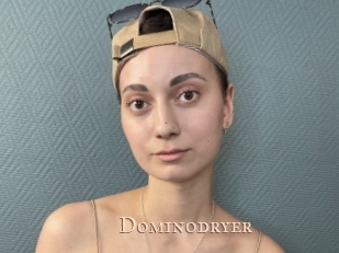 Dominodryer