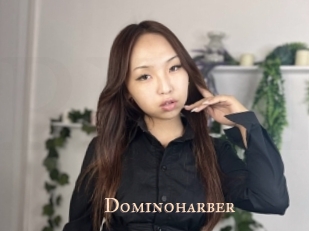 Dominoharber