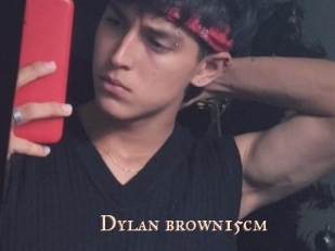 Dylan_brown15cm