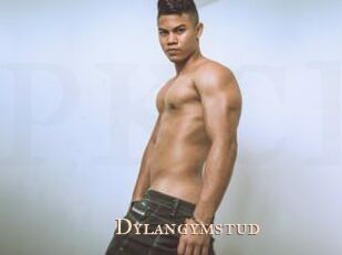 Dylangymstud