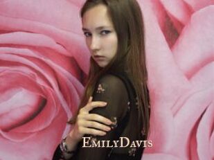 EmilyDavis Pink Center Fold