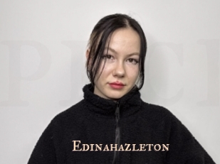 edinahazleton Pink Center Fold