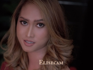 Elisecam