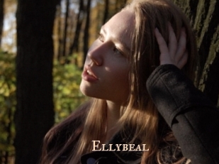 ellybeal Pink Center Fold