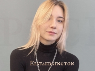 elviaedgington Pink Center Fold
