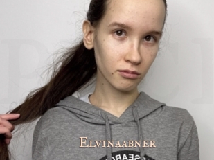 Elvinaabner