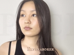 Elvinaborer