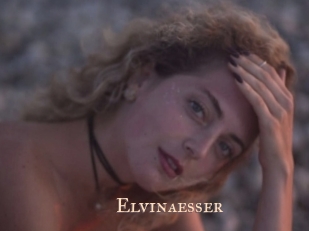 Elvinaesser