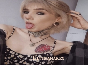 Elvinahakey