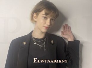 elwynabarns Pink Center Fold