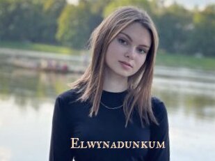 Elwynadunkum