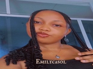 emilycasol Pink Center Fold