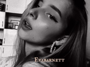 evabarnett Pink Center Fold