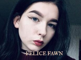 FELICE_FAWN
