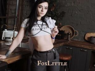 FoxLittle Pink Center Fold
