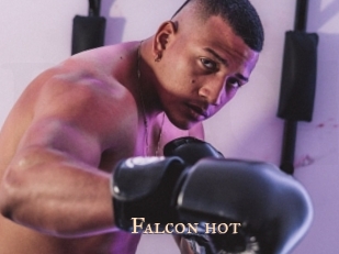 Falcon_hot