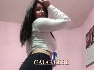 GAIAREESE Pink Center Fold