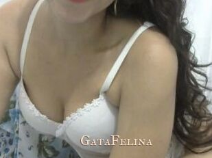 GataFelina