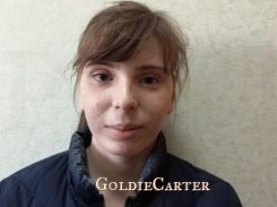 GoldieCarter Pink Center Fold