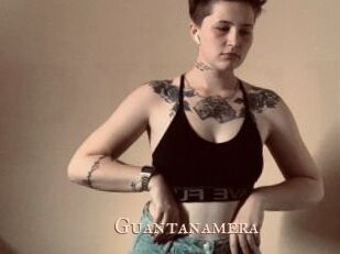 Guantanamera Pink Center Fold
