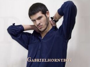 Gabrielhornyboy