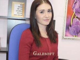 galesoft Pink Center Fold
