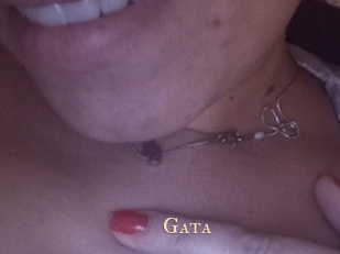 gata Pink Center Fold