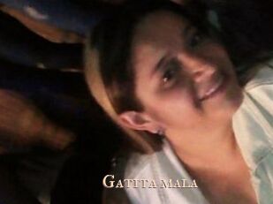 Gatita_mala