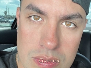 Gatoccc