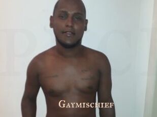 Gaymischief