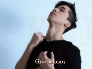 Ginobadboy