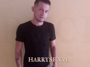 HARRYSEXY18 Pink Center Fold