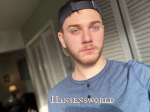 Hansensworld