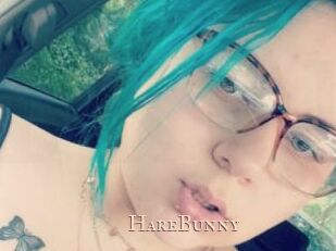 HareBunny