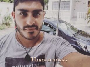 Harold_horny