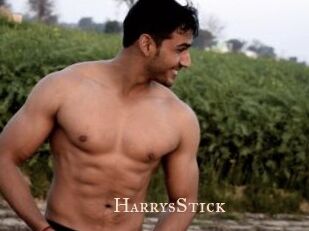 HarrysStick