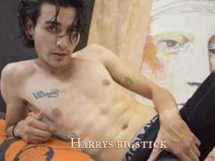 Harrys_bigstick
