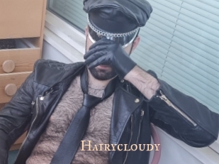 Hairycloudy