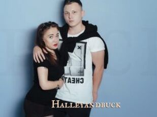 Halleyandbuck