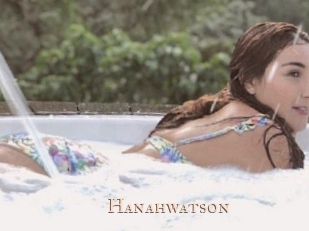 hanahwatson Pink Center Fold
