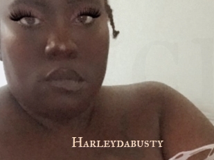 Harleydabusty